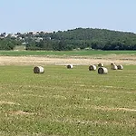 Goistria Villa Fuškulin