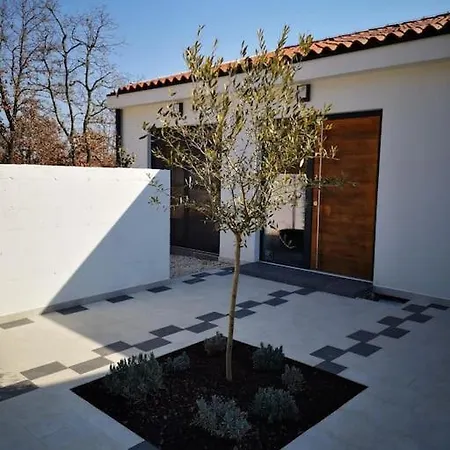 Goistria فيلة