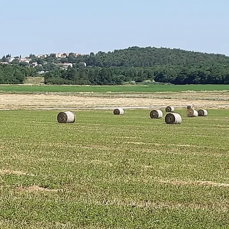 Goistria Vila Fuskulin